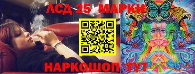 гашик Новодвинск