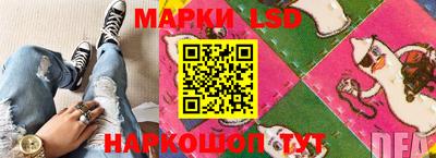 гашик Новодвинск