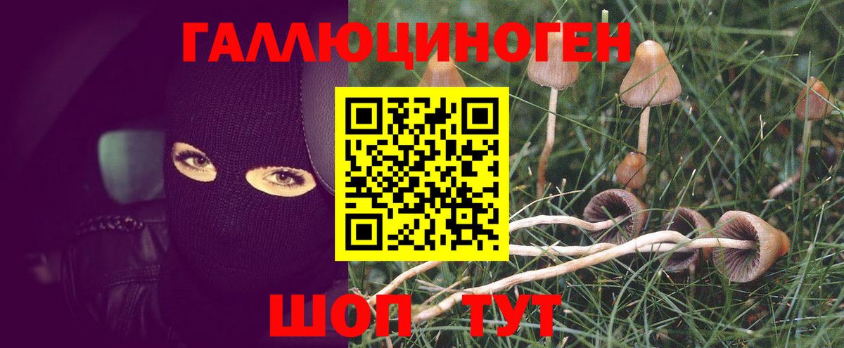 сколько стоит  Вход с VPN  Сорочинск  Галлюциногенные грибы мухоморы 