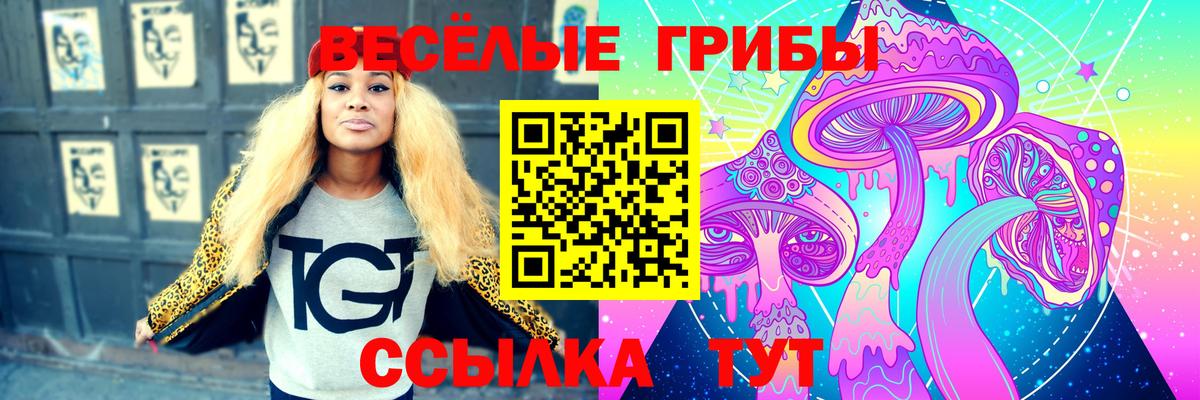 Альфа ПВП Сорочинск
