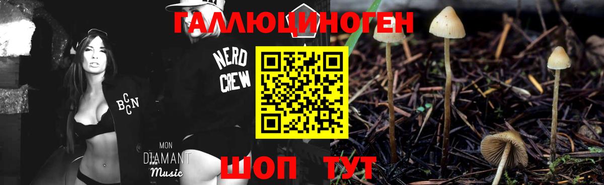 Галлюциногенные грибы MAGIC MUSHROOMS Сорочинск