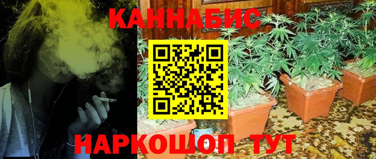 Канабис индика  Бошки марихуана план  Конопля сатива  Вход с VPN  Каннабис LSD WEED  Сорочинск 